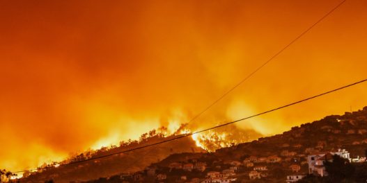 Grčka – još jedna žrtva ovogodišnjih požara