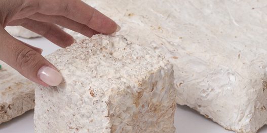 Domaći inovatori napravili biorazgradivi materijal koji zamenjuje stiropor