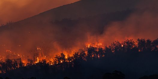 Amazonska prašuma je postala izvor emisija CO2, pokazuje novo istraživanje
