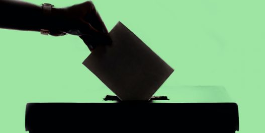 Da li raste uloga zelenih partija i pokreta pred nastupajuće izbore u Srbiji?