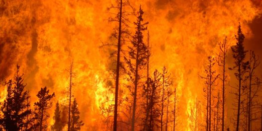 Pregled 2021. iz ugla klimatskih promena