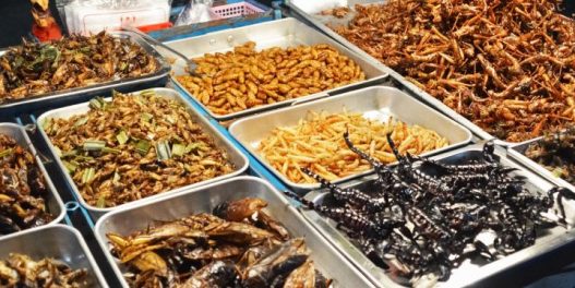 Budućnost naše ishrane – za glavno jelo burger od insekata, za užinu smuti od morskih algi?