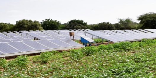 U Kuli se gradi najveća evropska agrosolarna elektrana