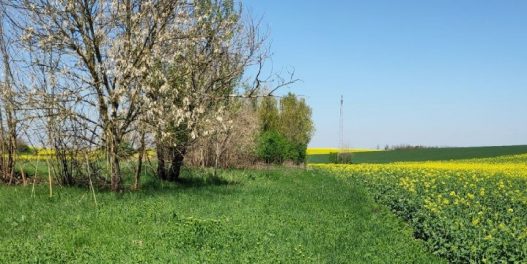 Šta su poluprirodna staništa i na koji način uvećavaju prinose u poljoprivredi?