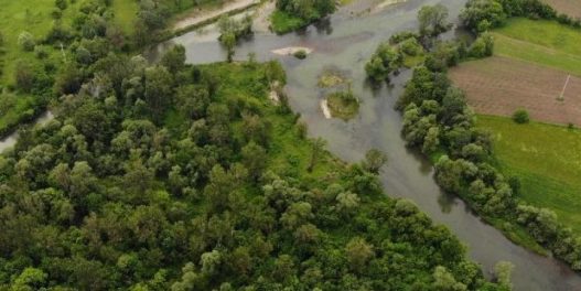 Neizvesna sudbina rečnog ostrva Suva Morava – prirodnog bogatstva u srcu Čačka