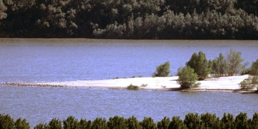 Reke, neočekivano moćni zagađivači