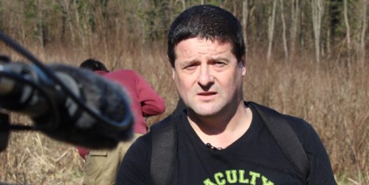 Dr Vladan Ivetić: Nestručno vođene akcije pošumljavanja su pogubne