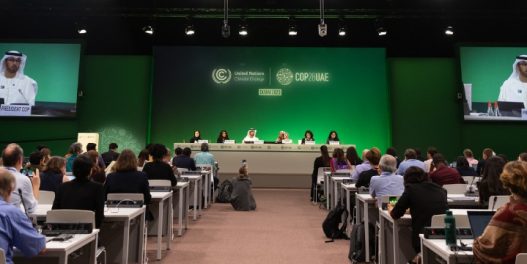 COP28: Srbija – jedna od 123 potpisnice istorijskog dogovora da se utrostruče globalni kapaciteti obnovljivih izvora do 2030.