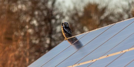 Koliko solarnih kapaciteta možemo da instaliramo na krovove naših zgrada?