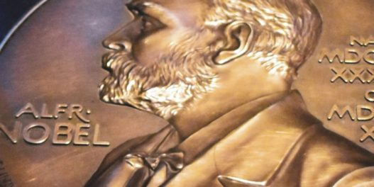 Da li je na pomolu Nobel za klimu? Zeleni pretraživač obezbedio milion evra za pokretanje nove nagrade