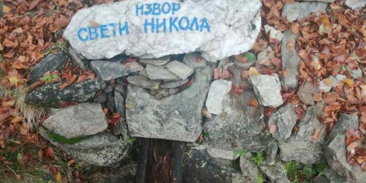 Naučni preokret: Na Vlasinskoj visoravni pronađena alga koja je poslednji put u prirodi viđena pre skoro 50 godina